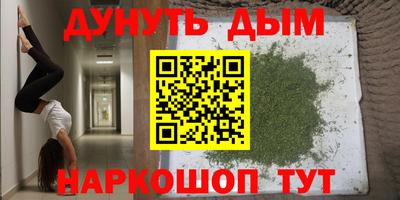 дмт Ставрополь