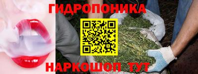 дмт Ставрополь