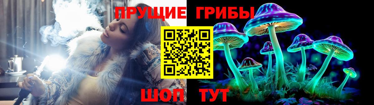 Псилоцибиновые грибы GOLDEN TEACHER  Вход с VPN  цена   Нижневартовск  Галлюциногенные грибы GOLDEN TEACHER 